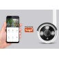 Zestaw do monitoringu WiFi Kruger&Matz Connect C200 Tuya