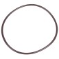 Oring CEDRUS stopa ST02 Oring CEDRUS stopa ST02