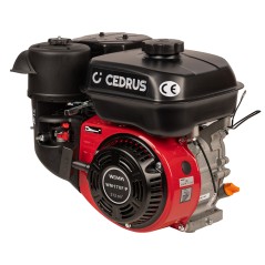 Silnik WM170-2/P CEDRUS glebogryzarka GL09