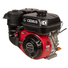 Silnik WM170-2/P CEDRUS glebogryzarka GL09