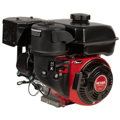 Silnik WM168FB/P CEDRUS glebogryzarka GL500