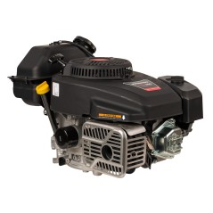 Silnik Weibang CV300-7