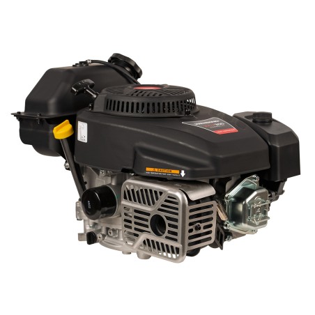 Silnik Weibang CV300-7