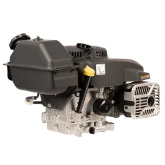 Silnik Weibang CV300-7