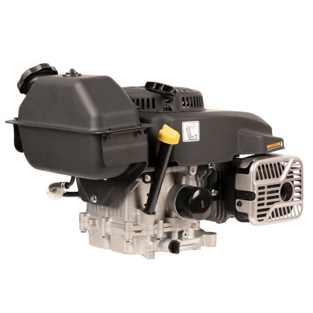 Silnik Weibang CV300-7