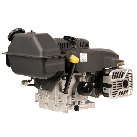 Silnik Weibang CV300-7