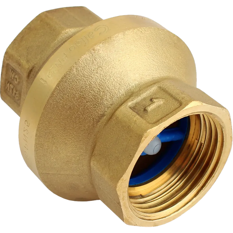 Zawór zwrotny seria Pionier 2" W/W