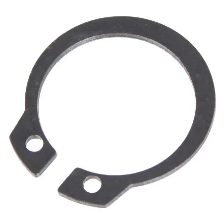 Zabezpieczenie wałka Cedrus świder SW01