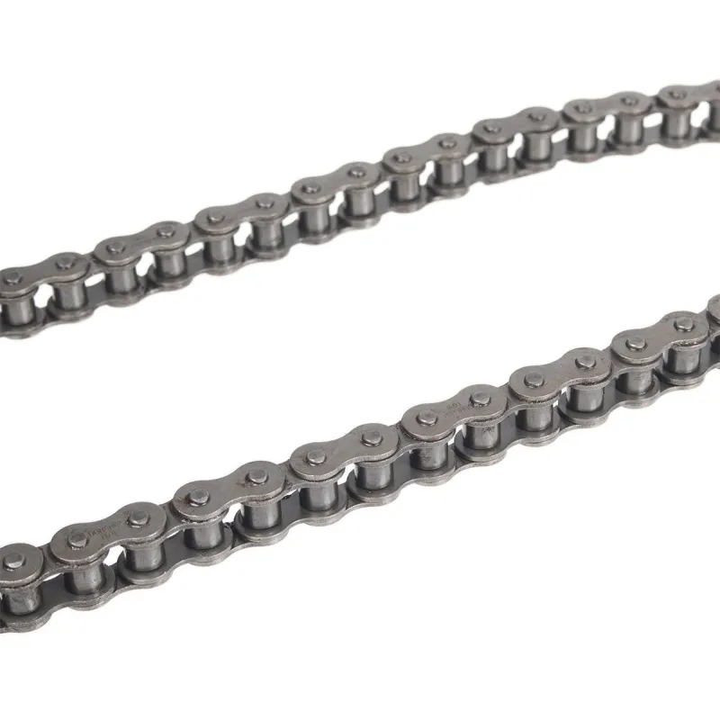 Łańcuch przekładni CEDRUS transporter TR300