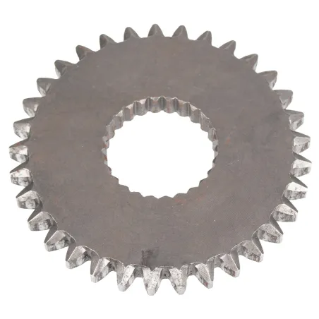 Koło zębate CEDRUS przekładni transporter TR300