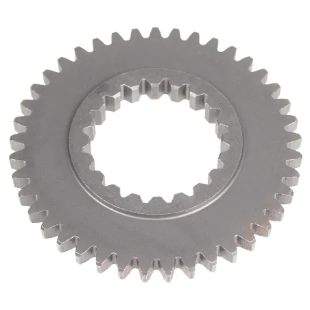 Koło zębate CEDRUS przekładni transporter TR300