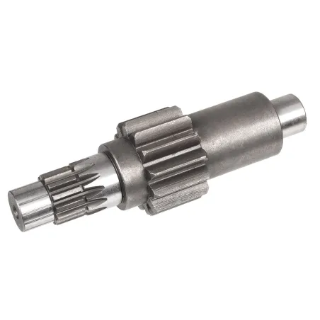 Wałek zębaty CEDRUS przekładni transporter TR300