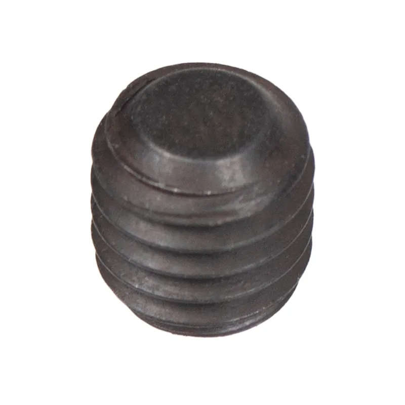 Śruba ustalająca Cedrus świder SW02