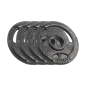 Obciążenie żeliwne olimpijskie zestaw 4x1.25kg, otwór 51mm, talerz z uchwytami, REBEL ACTIVE