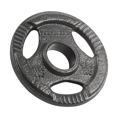 Obciążenie żeliwne olimpijskie zestaw 4x1.25kg, otwór 51mm, talerz z uchwytami, REBEL ACTIVE