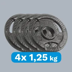 Obciążenie żeliwne olimpijskie zestaw 4x1.25kg, otwór 51mm, talerz z uchwytami, REBEL ACTIVE