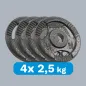 Obciążenie żeliwne olimpijskie zestaw 4x2.5kg, otwór 51mm, talerz z uchwytami, REBEL ACTIVE Obciążenie żeliwne olimpijskie zestaw 4x2.5kg, otwór 51mm, talerz z uchwytami, REBEL ACTIVE
