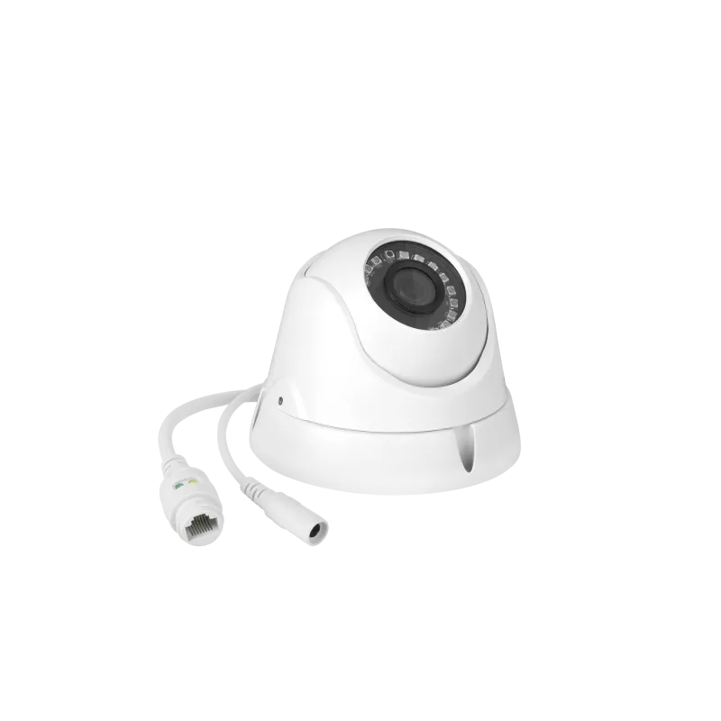 Kamera CCTV IP