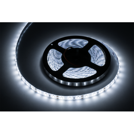 Sznur diodowy 5m Rebel (300x5630 SMD), zimny biały, wodoodporny, 12V