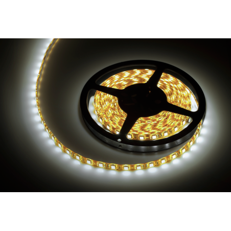 Sznur diodowy 5m zimny biały wodoodporny (300x5050SMD)