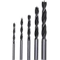 Zestaw wierteł do drewna 4.0-10.0 mm, 5 szt. Zestaw wierteł do drewna 4.0-10.0 mm, 5 szt.