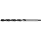 Wiertło do drewna 20.0 x 400 mm, przedłużane, podtaczane 10 mm