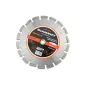 Tarcza diamentowa 300 x 25.4 mm, segmentowa, spawana laserowo, do asfaltu i świeżego betonu Tarcza diamentowa 300 x 25.4 mm, segmentowa, spawana laserowo, do asfaltu i świeżego betonu