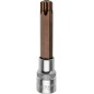 Końcówka Torx na nasadce 1/2", TT60 x 100 mm Końcówka Torx na nasadce 1/2", TT60 x 100 mm
