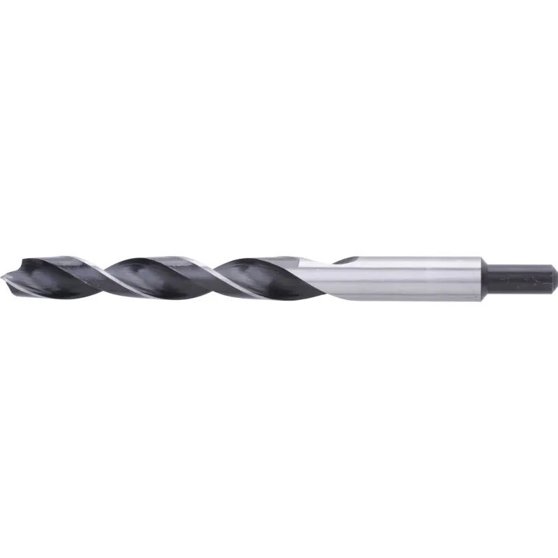 Wiertło do drewna 20.0 x 250 mm, przedłużane