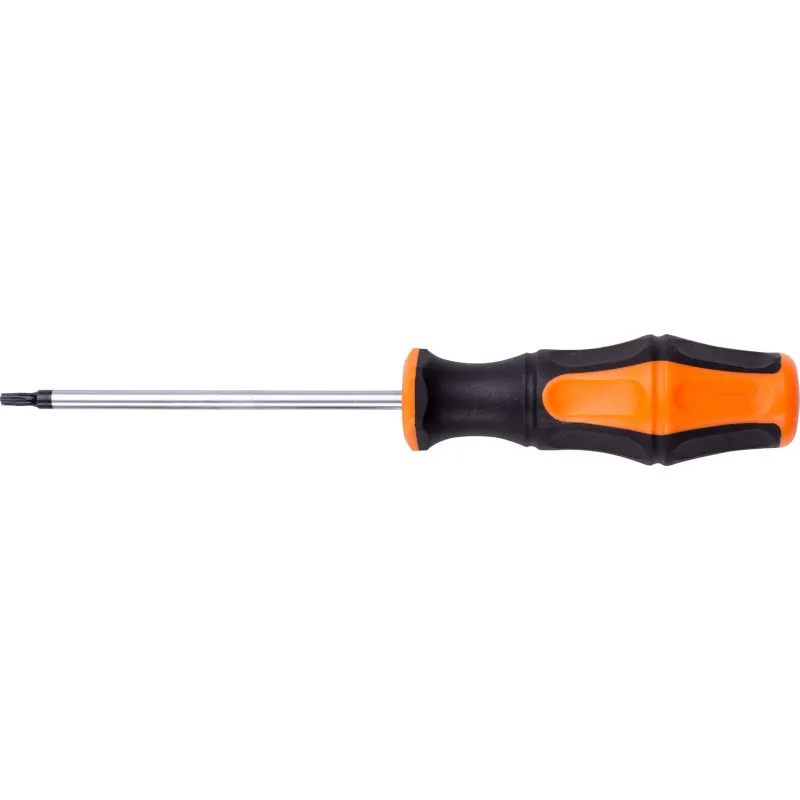 Wkrętak Torx T10 x 100 mm