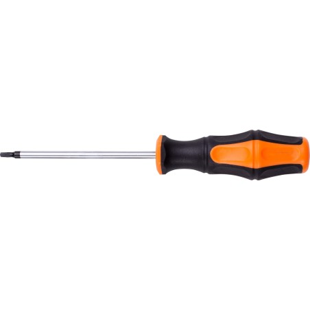 Wkrętak Torx T10 x 100 mm