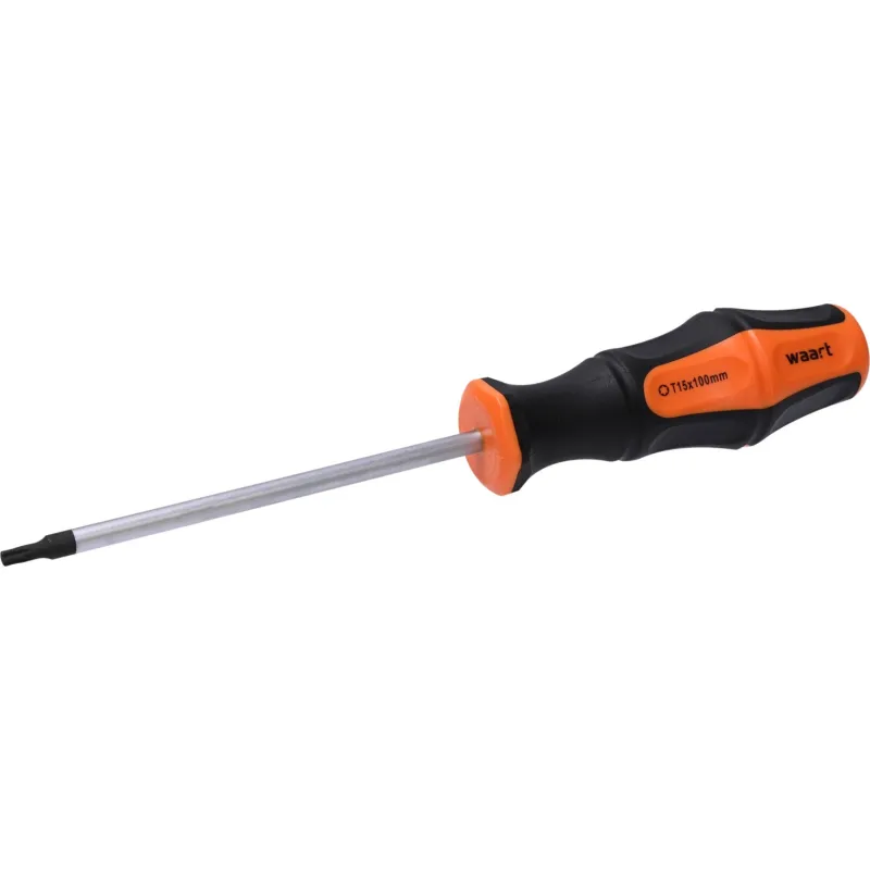 Wkrętak Torx T15 x 100 mm