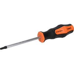 Wkrętak Torx T25 x 100 mm