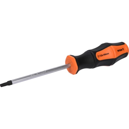 Wkrętak Torx T25 x 100 mm
