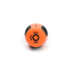 Wkrętak Torx T25 x 100 mm