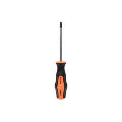 Wkrętak Torx T25 x 100 mm