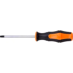 Wkrętak Torx T30 x 100 mm