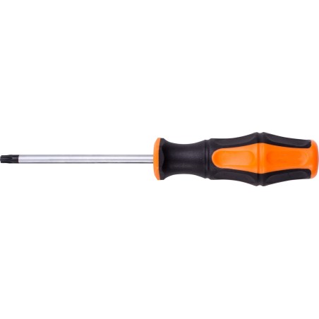Wkrętak Torx T30 x 100 mm