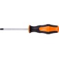 Wkrętak Torx T30 x 100 mm