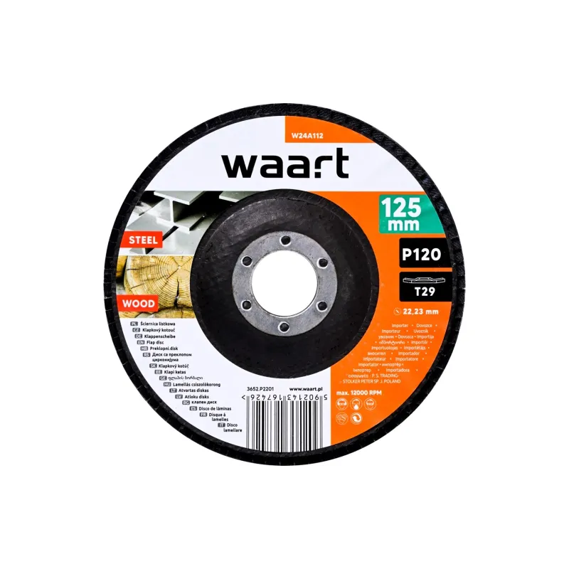 Ściernica listkowa 125 x 22.2 mm, P120