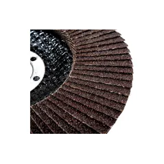 Ściernica listkowa 125 x 22.2 mm, P120