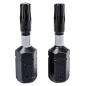 Końcówki wkrętakowe udarowe Torx T15 x 25 mm, 2 szt.