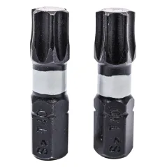 Końcówki wkrętakowe udarowe Torx T40 x 25 mm, 2 szt.