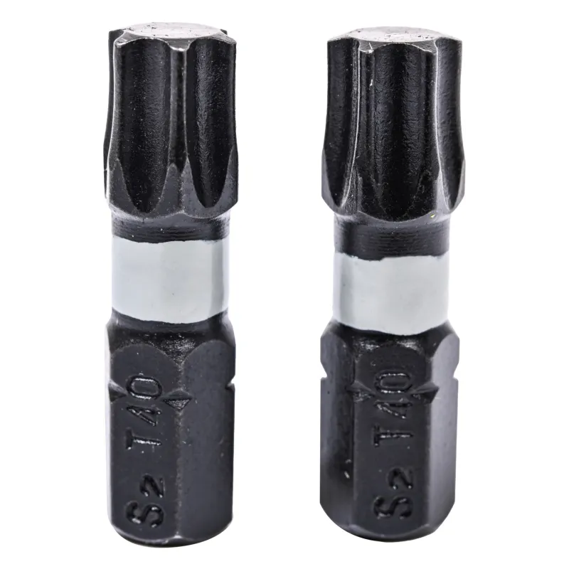 Końcówki wkrętakowe udarowe Torx T40 x 25 mm, 2 szt. Końcówki wkrętakowe udarowe Torx T40 x 25 mm, 2 szt.