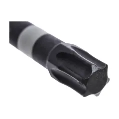 Końcówki wkrętakowe udarowe Torx T40 x 50 mm, 2 szt.