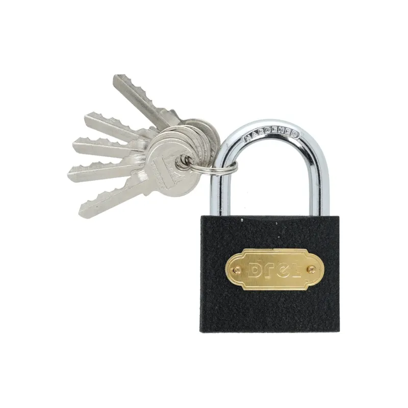 Kłódka 50mm, 5 kluczy, żeliwna Kłódka 50mm, 5 kluczy, żeliwna