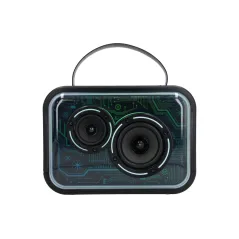 Głośnik karaoke 2x mikrofon