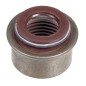 Uszczelniacz zaworu Cedrus Agregat Diesel CEDDG8.5E-3F