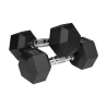 Hex Cast Iron Dumbbells