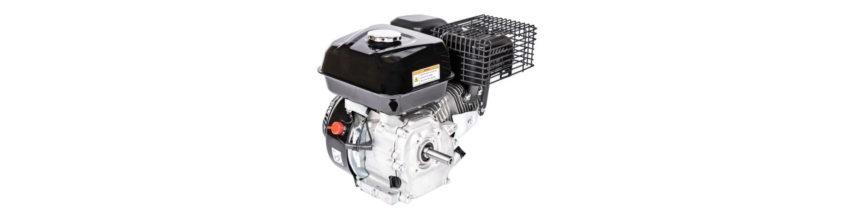 Silniki Cedrus wał poziomy | sklep